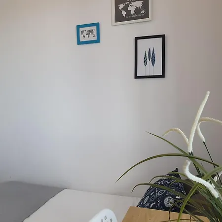 Zwykle Mieszkanie Na Zabiance Apartament